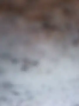 Shreya_pandit webcam