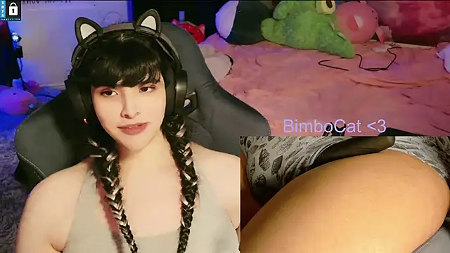 BimboCat webcam
