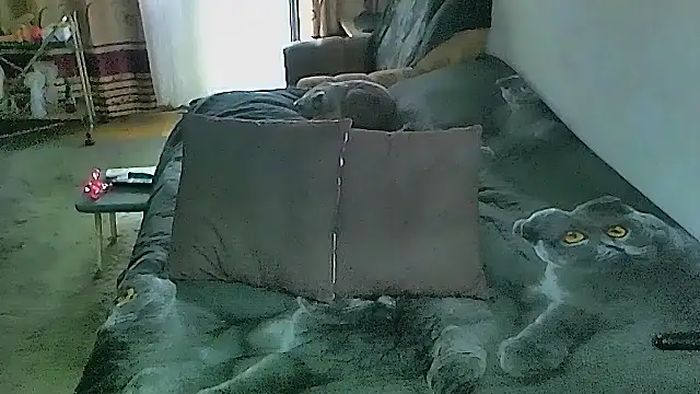 sex2 (F mature) - naked, squirt +:gift