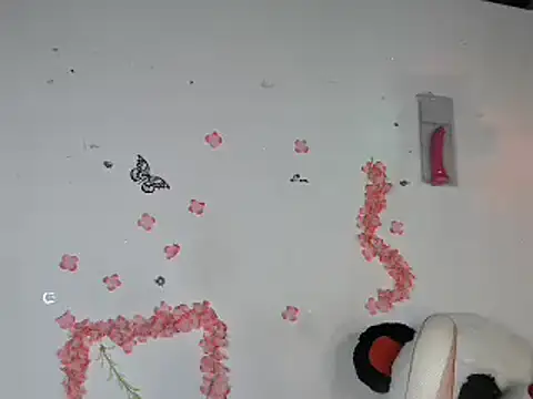 sophiadaza666 webcam