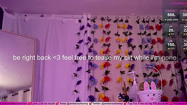 amberxoxhoney webcam
