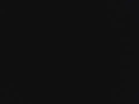 novilho18piroc webcam