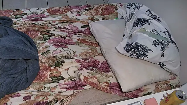 raposinharabuda webcam