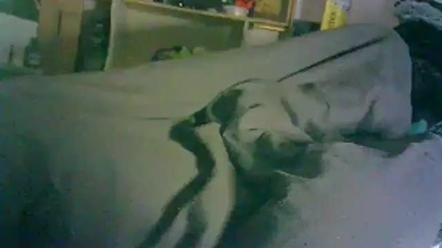 GUAPAN3S3_FIR3 webcam