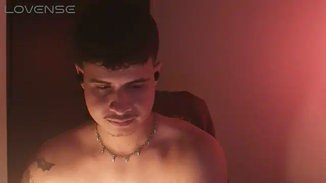 Preview of bjornsteel