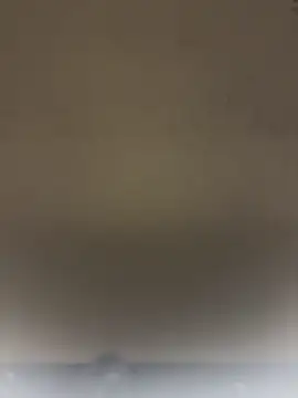 Preview of slnatasha