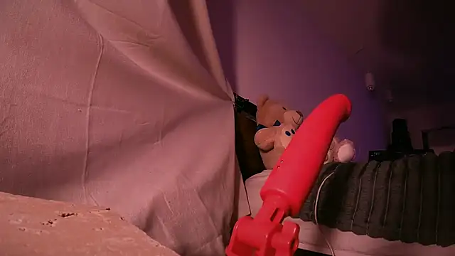 alldogsgotoheaven webcam