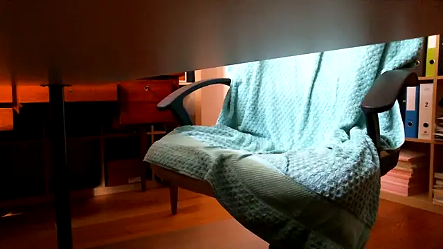 leccaleccafiga webcam