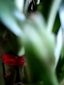 raj0592 live sex cam