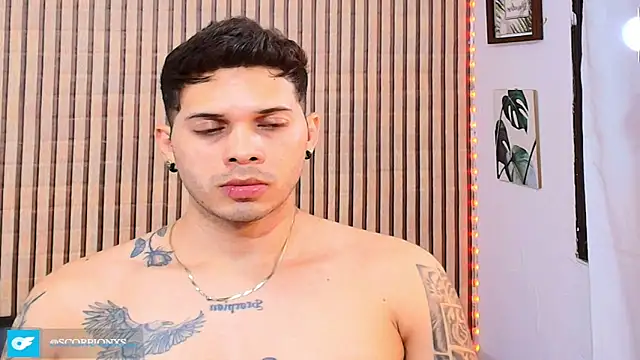 johan_speitzer webcam