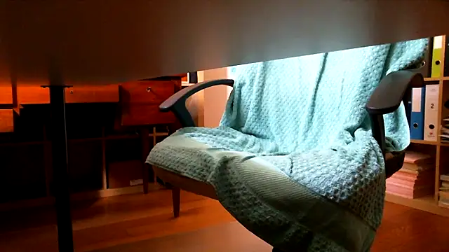 leccaleccafiga webcam