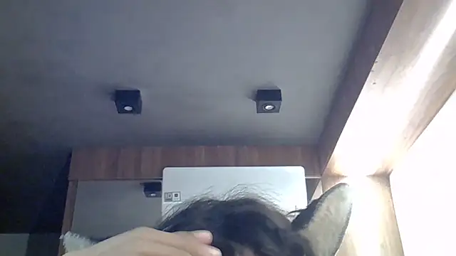 SkinnyKitten live sex cam