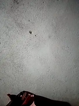 kalara_kail - Kalara_kail's free webcam - UK Sex Cams