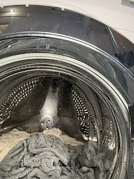 MaryMe__ Live Webcam on Stripchat