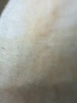 twankletoes1234 webcam