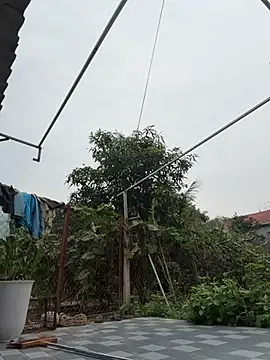 Naughty___asian webcam