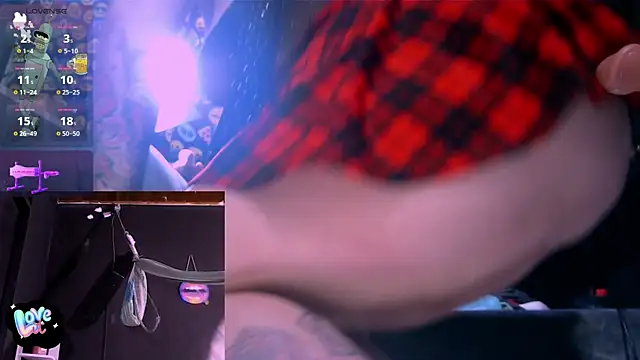 Nicolle_waterfalls webcam