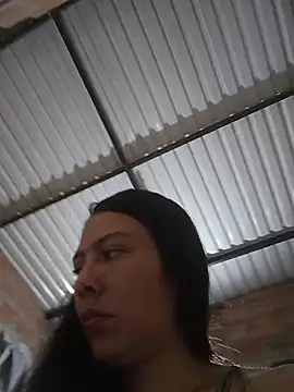 Preview of salome_xxx15