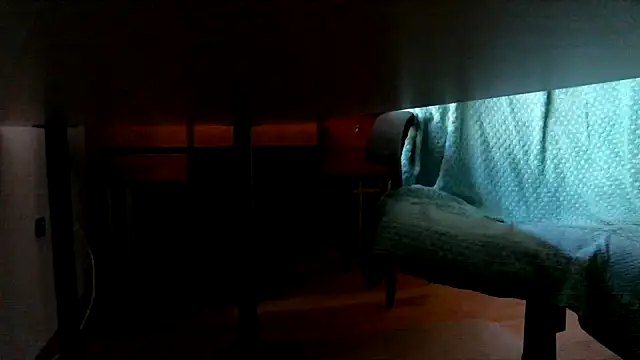 leccaleccafiga webcam