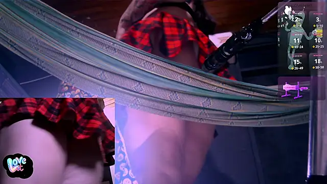 Nicolle_waterfalls webcam