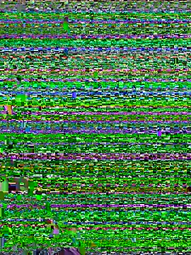 Geet-Punjaban webcam