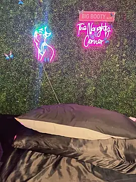 Preview of renathickass