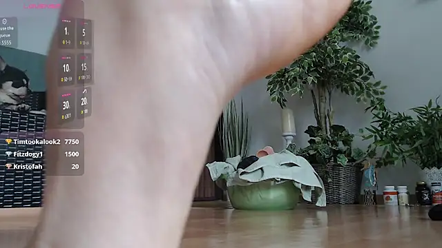 Squirtmania live sex cam