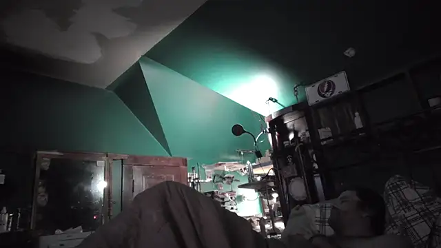 charactrzero live sex cam