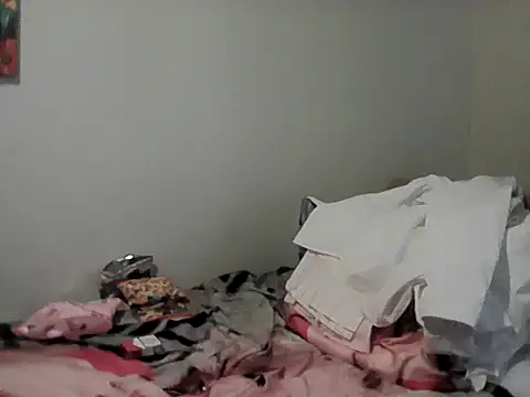 belgianshantie webcam