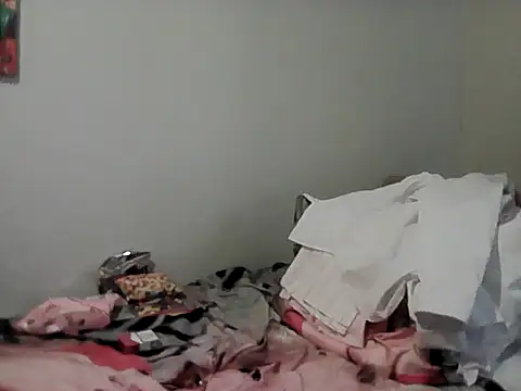 belgianshantie webcam