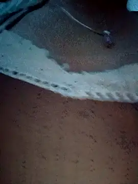 myzak- - Myzak-'s free webcam