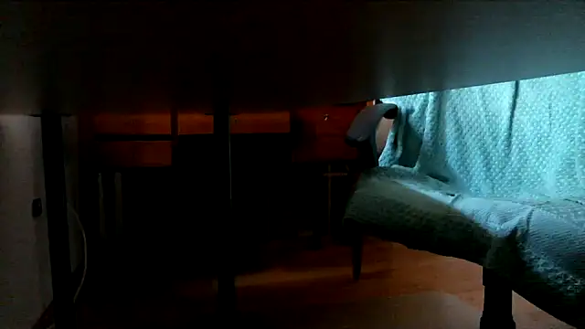 leccaleccafiga webcam