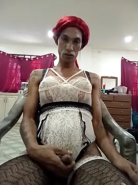 Preview of tranzpiggy