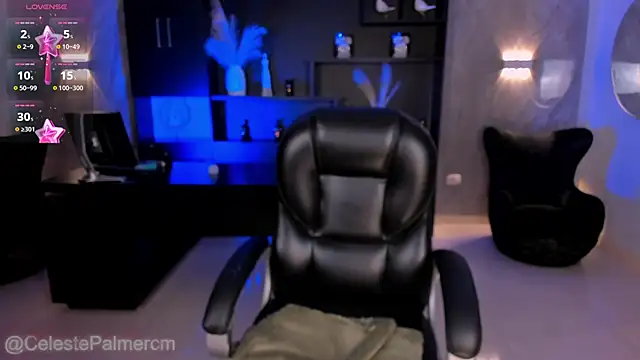 CelestePalmer_ webcam
