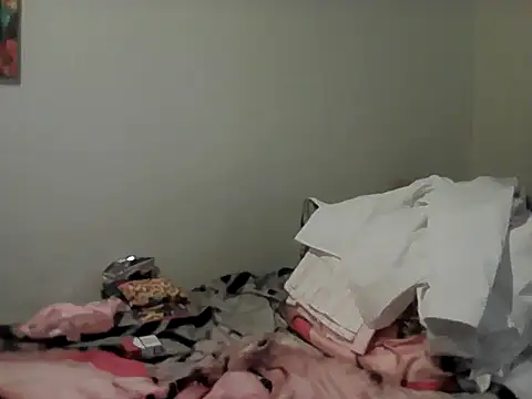 belgianshantie webcam