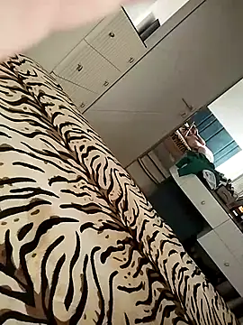 zebrawyzeb webcam