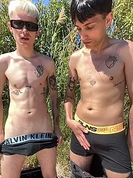 AlphaTwinks webcam
