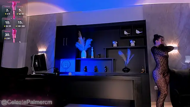CelestePalmer_ webcam