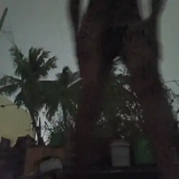 gaysexfun_123 webcam