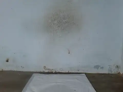 boiboi2x - Boiboi2x's free webcam - UK Sex Cams