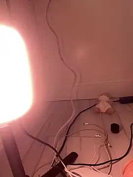 alldogsgotoheaven webcam