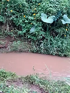 Cutypussy-beasty... Live Webcam on Stripchat