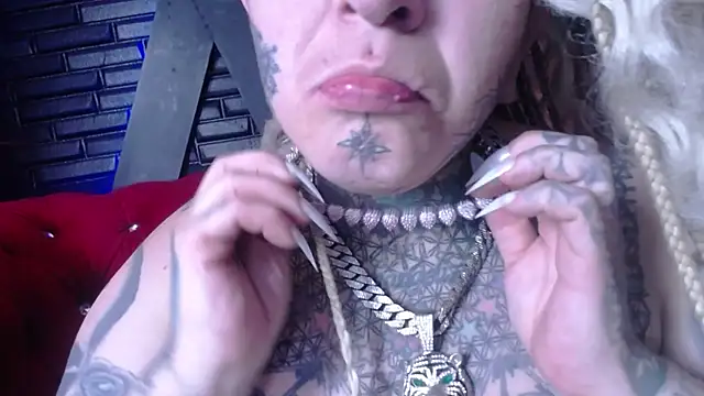 Preview of venus_rock