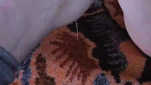 cumloverboyxx69 webcam