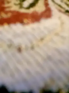 Apeesynka55211 webcam