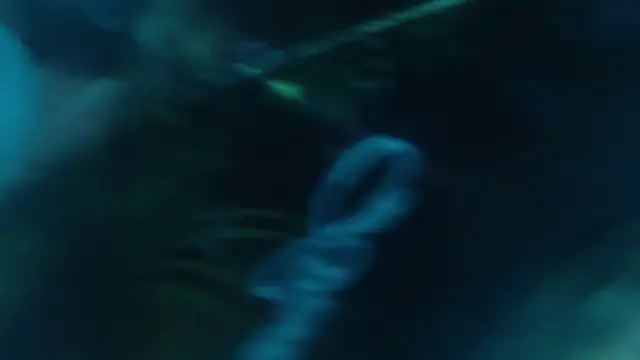 Andreasabrinafox webcam