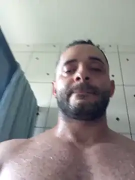 Preview of theferreira13