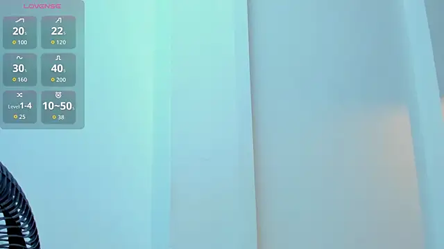 Vittoria_Conti_ webcam