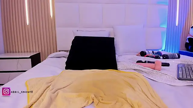 abril_snow webcam