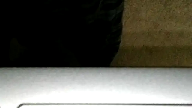 Preview of takeitall101